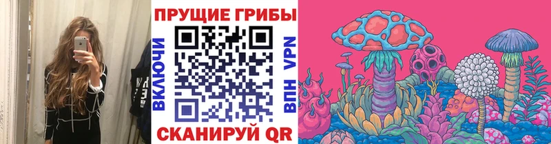 KRAKEN вход  Углегорск  Псилоцибиновые грибы Cubensis 
